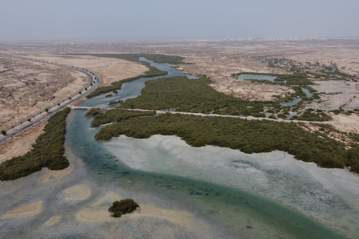 ওয়াদি আদ-দাওয়াসির